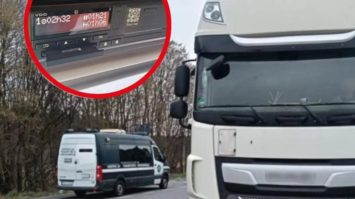 17 wydruków i jedno kłamstwo. ITD bez problemu to zweryfikowała