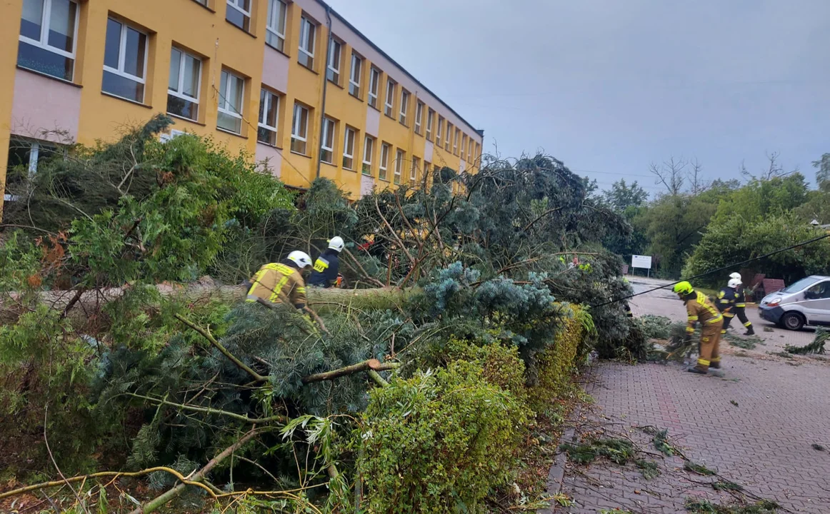 Wichura zrywała dachy i łamała drzewa. Przez Wielkopolskę przeszły nawałnice - Zdjęcie główne