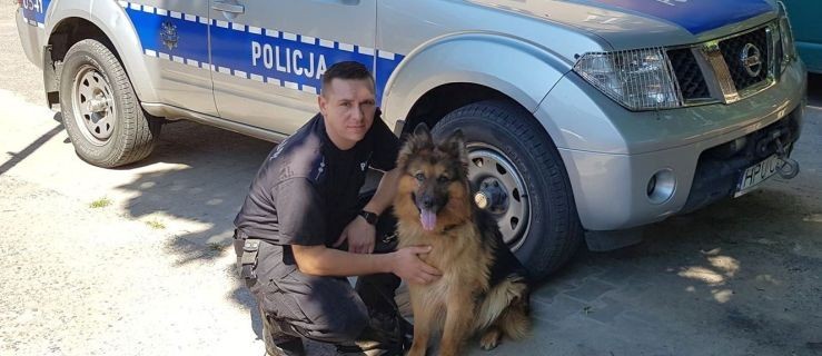 Włamał się, a potem schował się w kanapie. Wytropił go pies - Zdjęcie główne