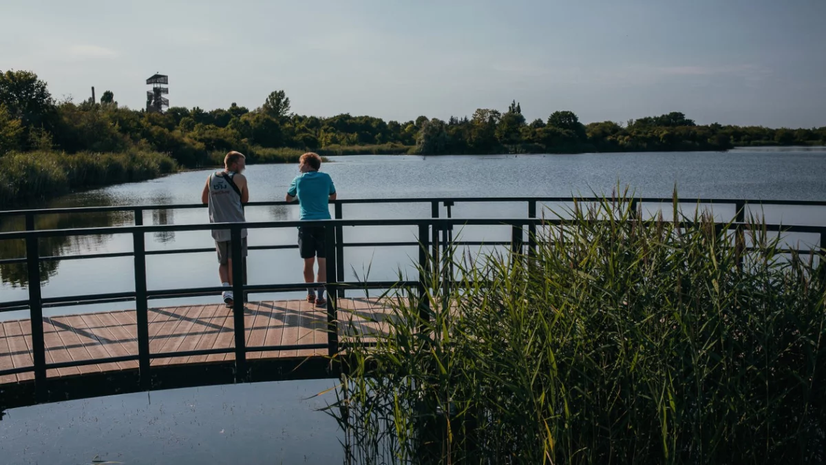 Stawy, łąki, ścieżki spacerowe i platformy widokowe. Wyjątkowy zakątek na przedmieściach Poznania - Zdjęcie główne