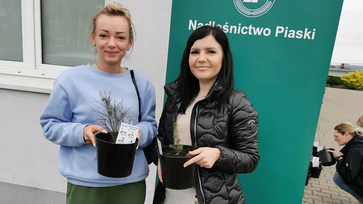 Zaskoczenie w GOK Hutnik. Dostali 100 sadzonek, rozeszły się błyskawicznie - Zdjęcie główne