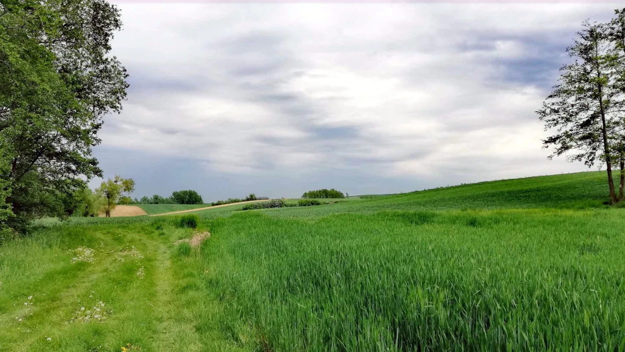 Dziś nawet 15 °C, ale czeka nas drastyczna zmiana pogody - Zdjęcie główne