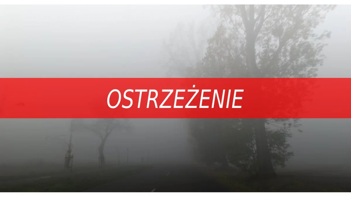 Alert dla województwa wielkopolskiego. Zacznie się późnym popołudniem - Zdjęcie główne