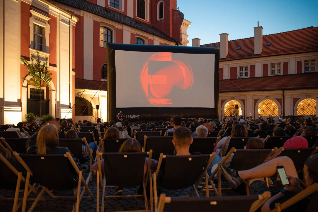 Letnie wieczory z kinem plenerowym w Poznaniu. Sprawdź, jakie filmy będą wyświetlane - Zdjęcie główne