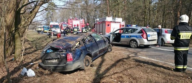 Samochód zmasakrowany. Pasażerowie w szpitalu. Kierowca zjechał z drogi, ściął drzewa i dachował - Zdjęcie główne