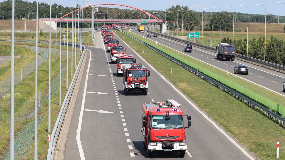 Wielkopolscy strażacy będą gasić pożary w Grecji [WIDEO] - Zdjęcie główne