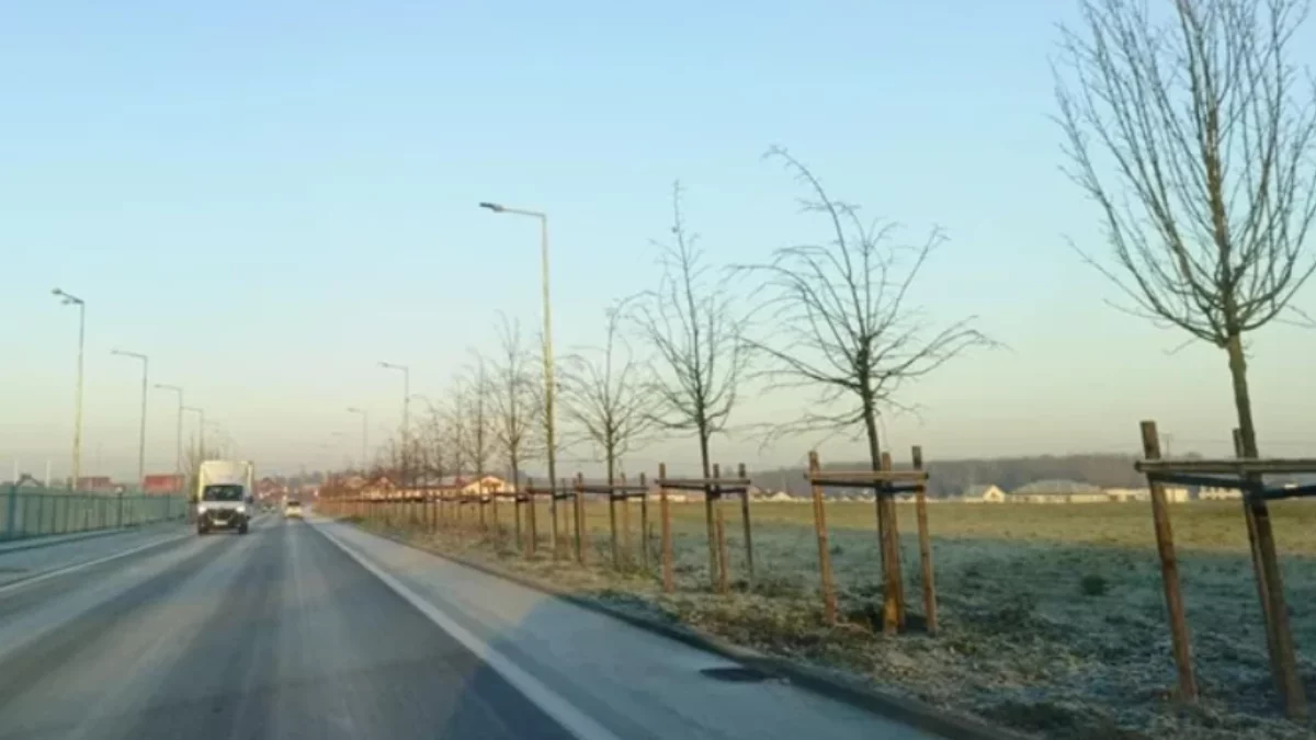 27 milionów złotych dla wielkopolskich samorządów. Sprawdź, gdzie trafią pieniądze