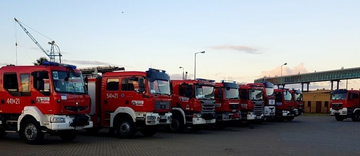 Wielkopolska. Nasi strażacy wrócili z piekła w Szwecji. Wita ich premier - Zdjęcie główne