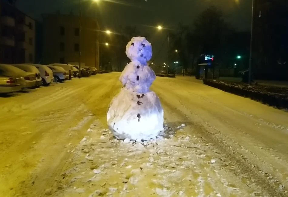 Nietypowa przeszkoda na drodze w Lesznie. Interweniowała policja, obiekt usuwała odśnieżarka [WIDEO] - Zdjęcie główne