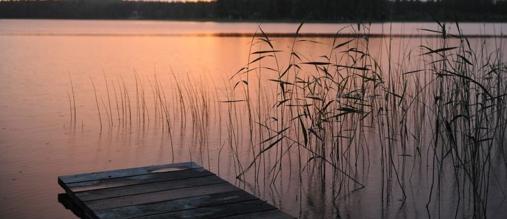 Jechała rowerem, kiedy nagle znad stawu oddano strzał. Kobieta trafiła do szpitala - Zdjęcie główne