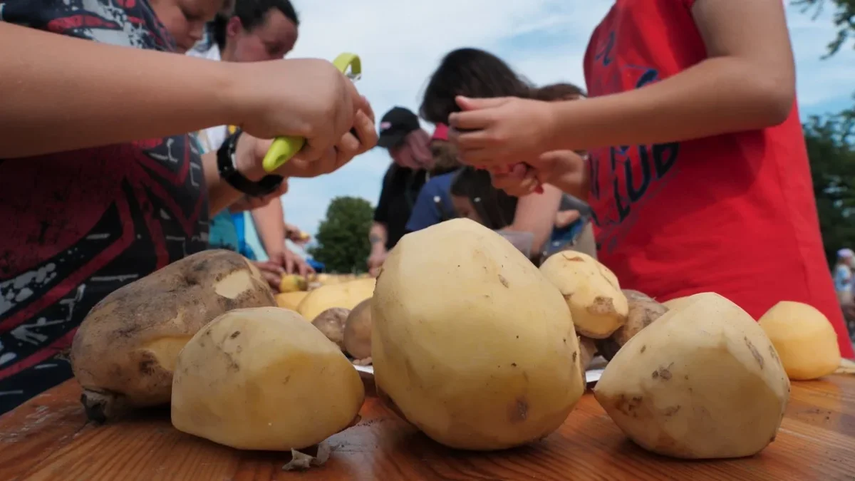 Pyra Fest 2024 już dziś! W Poznaniu będą królować pyry - Zdjęcie główne