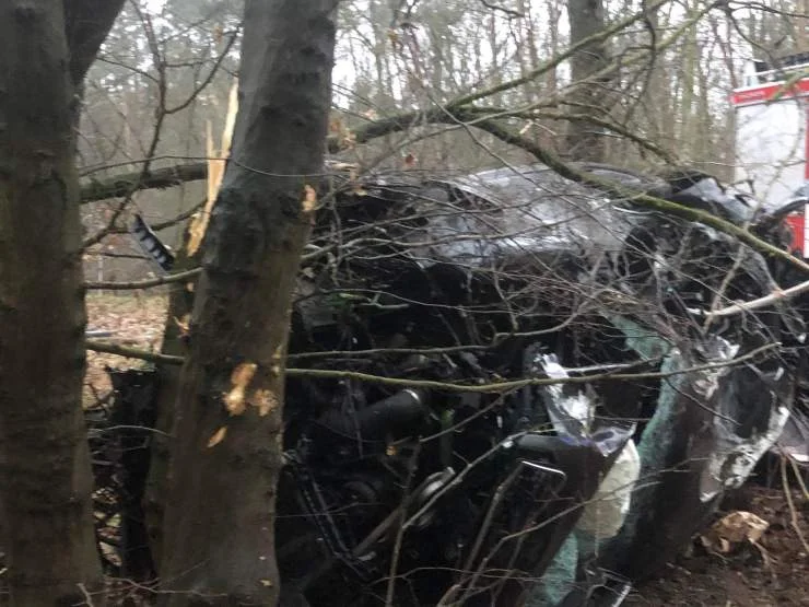  Audi z impetem wypadło z drogi i roztrzaskało się na drzewach  - Zdjęcie główne