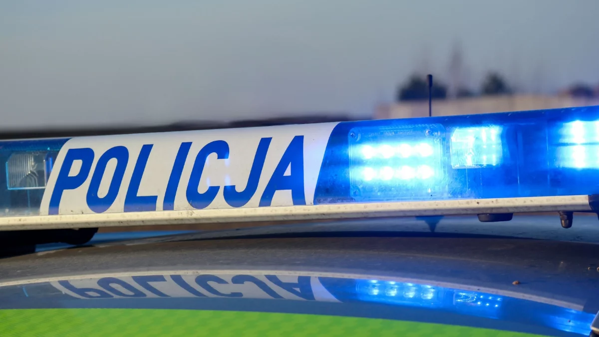 Tragiczny dzień na wielkopolskich drogach. Dwie ofiary śmiertelne w odstępie godziny