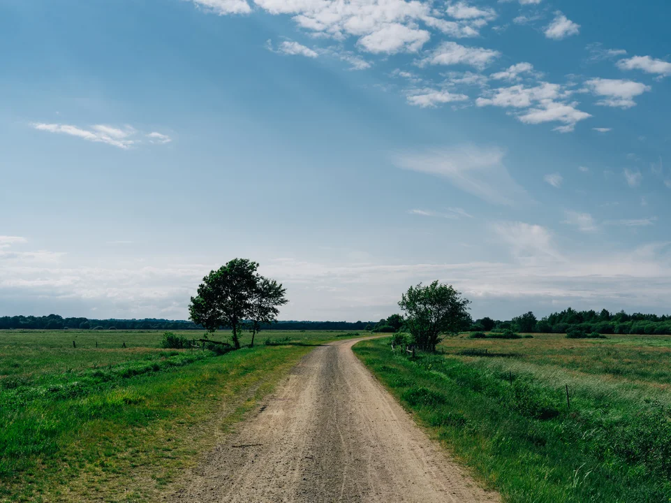 Ponad 22 mln zł na drogi do pól, miododajne drzewa i zbiorniki wodne. Pieniądze dla samorządów - Zdjęcie główne