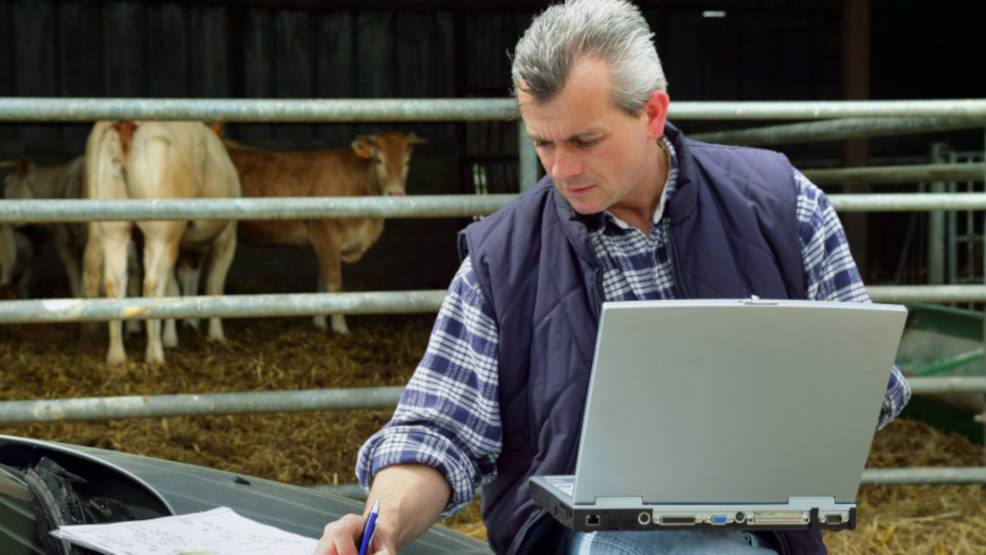 ARiMR uruchomiła nową aplikację umożliwiającą rolnikom składanie wniosków o wypłatę dofinansowań - Zdjęcie główne