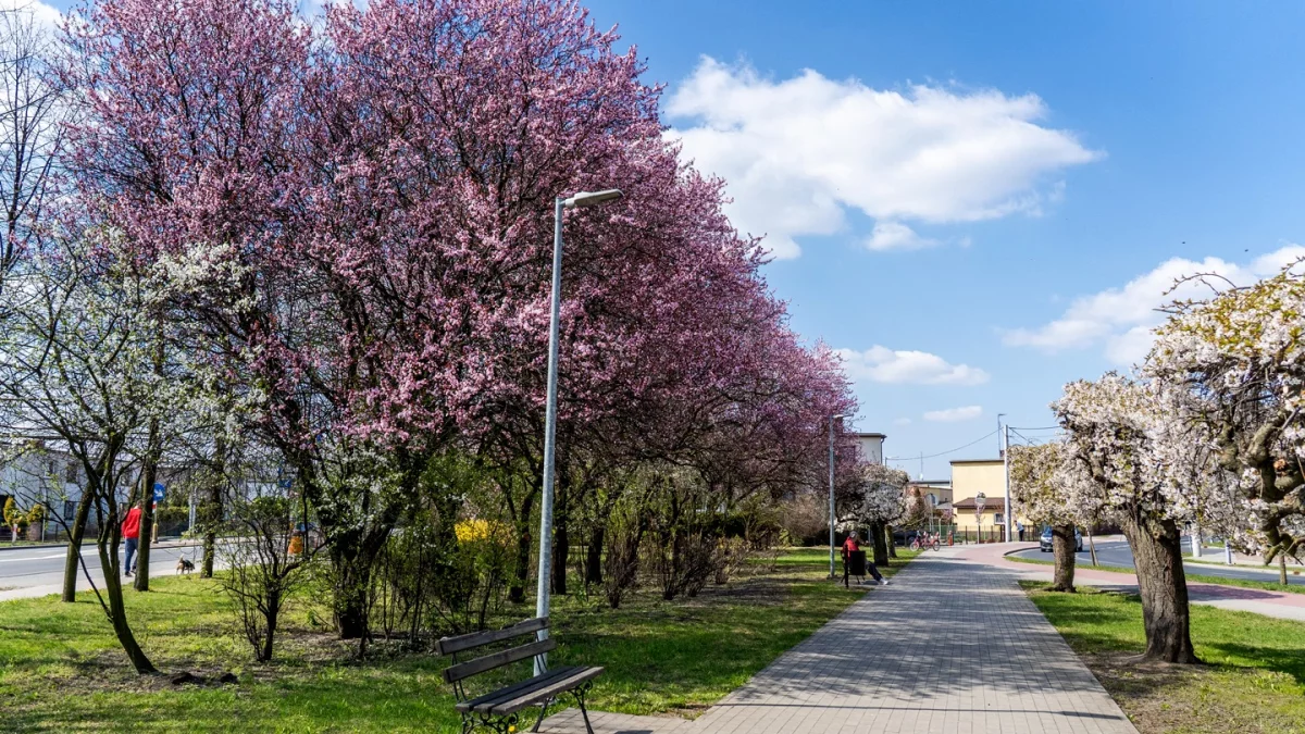 Pogoda na długi majowy weekend w Wielkopolsce. Najnowsza prognoza IMGW nie pozostawia złudzeń
