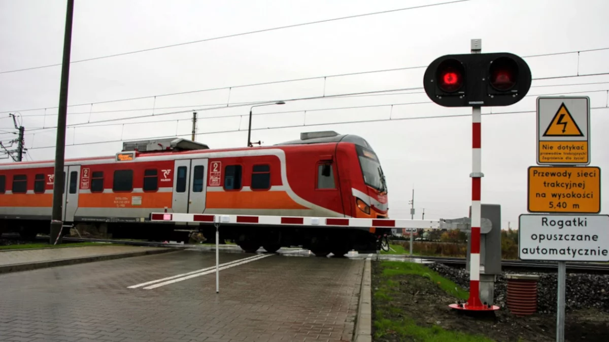 Tymi pociągami możesz jeździć po całej Polsce za 48 zł. Podano termin - Zdjęcie główne