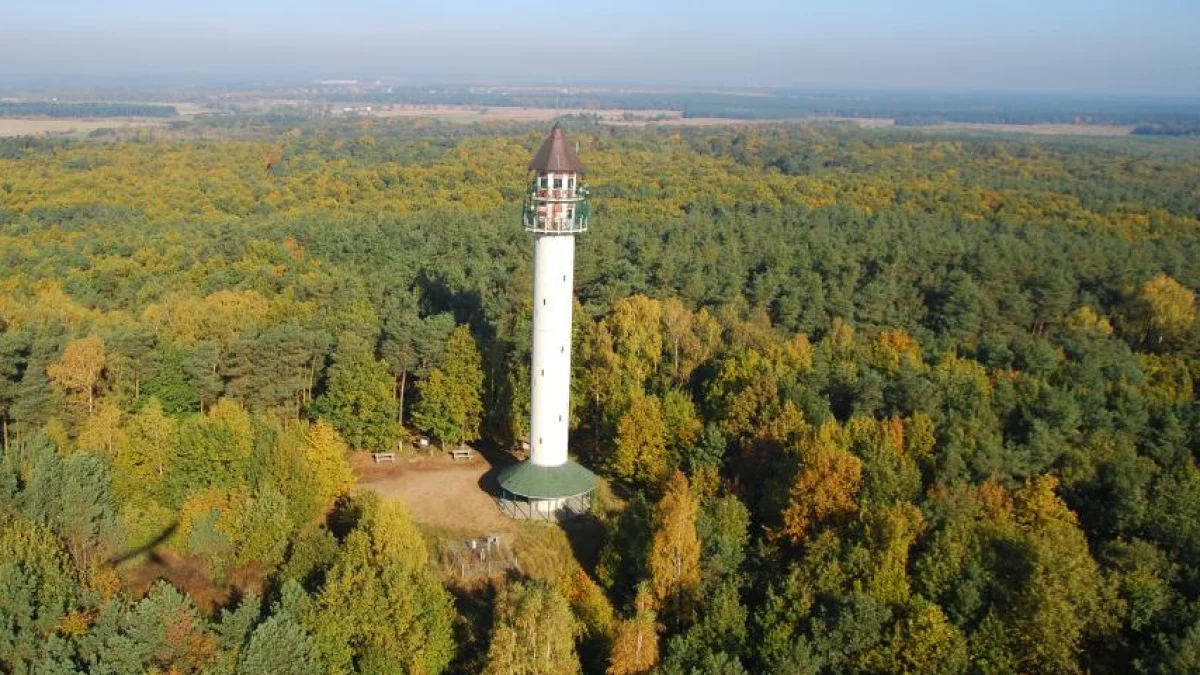 To najwyższe wzniesienie pod Poznaniem. Z wieży rozciąga się malownicza panorama puszczy