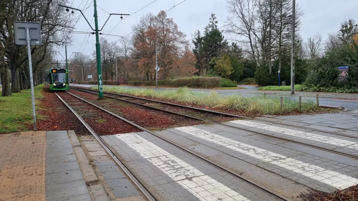 Zmiany w komunikacji miejskiej w Poznaniu. Jak będą kursować tramwaje i autobusy? - Zdjęcie główne