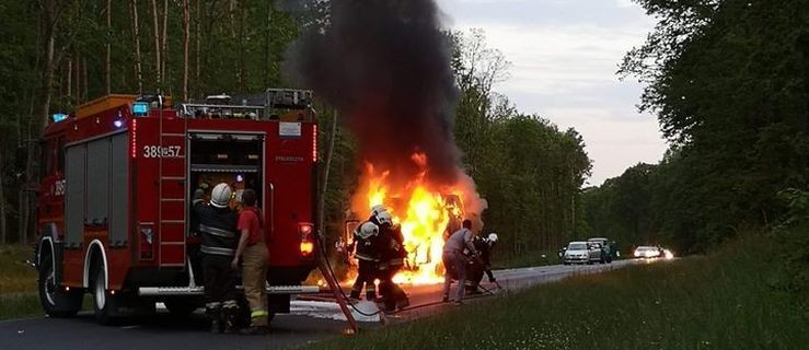 Auto spłonęło po zderzeniu z jeleniem. Ranne zwierzę musieli dobić  - Zdjęcie główne